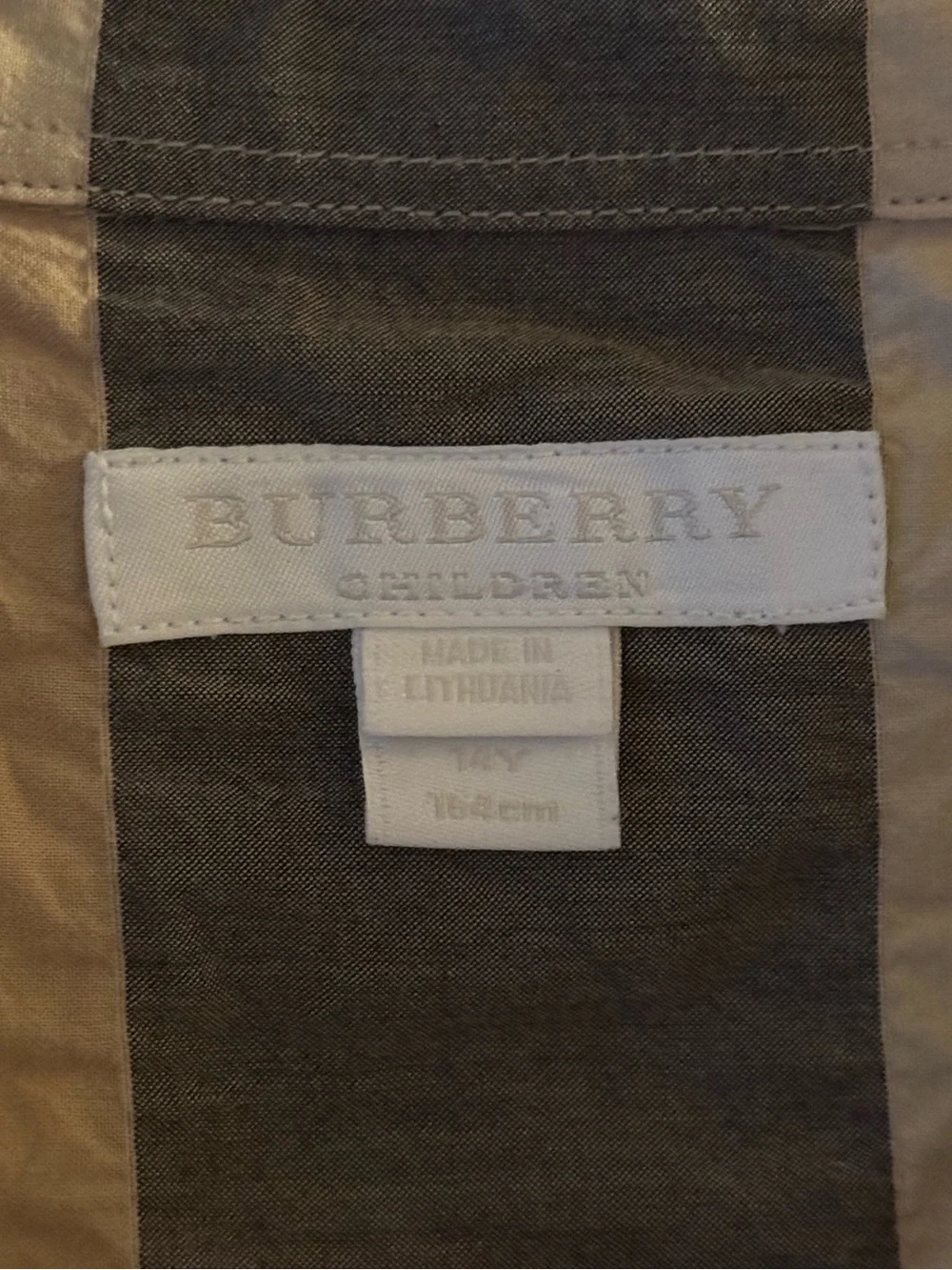 Burberry Dress